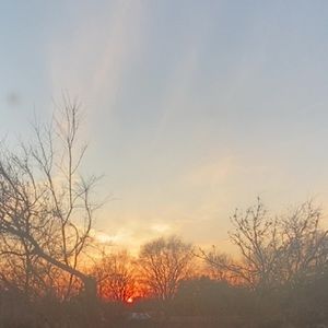 Meet your Posher, Abigail